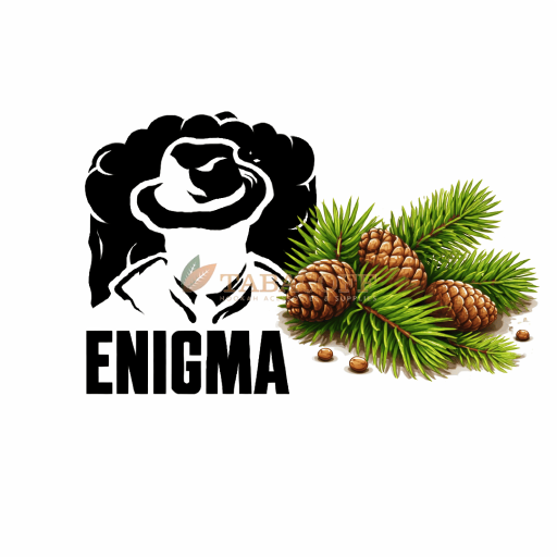 Табак Enigma Elixir (Сосна) 200 г 